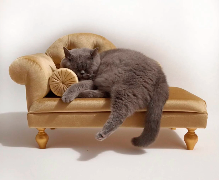 divanetto per gatto 